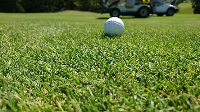 北海道で味わう洋芝の難しさ 上達シリーズ第47回 Gridge グリッジ ゴルファーのための情報サイト