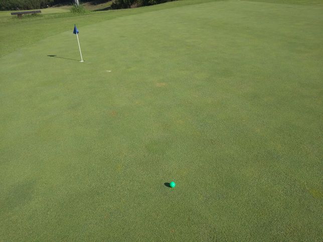 カラーボールを使うならグリーンがオススメです Gridge グリッジ ゴルファーのための情報サイト